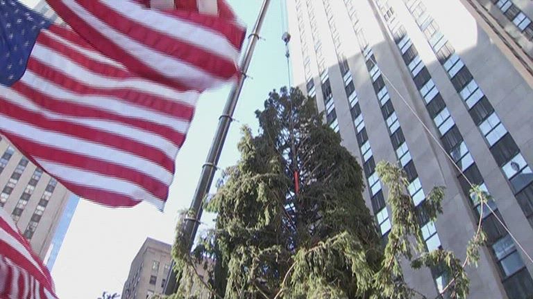 Rockefeller tree NBC.jpg